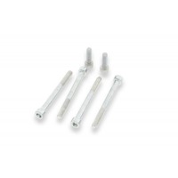 CNC Racing Dry Clutch Stainless Steel Clutch Cover Screw Set CNC Racing Dry Clutch Stainless Steel Clutch Cover Screw Set